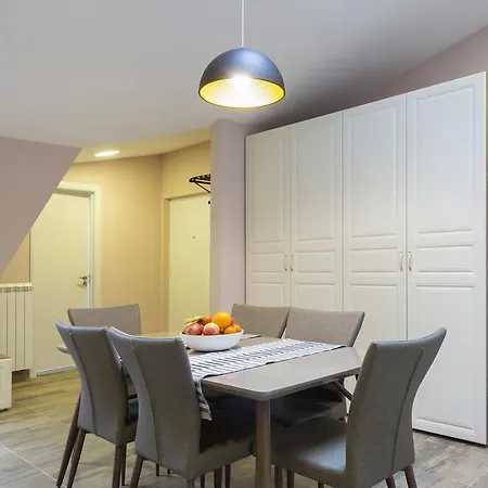 Nusiceva Urban Downtown Apartment *